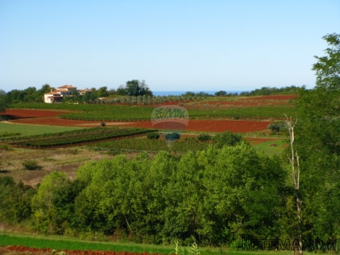 VIŽINADA, GRAĐEVINSKA PARCELA 5000 M2 S PREKRASNIM POGLEDOM - 5
