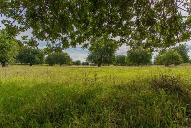 Amazing building plot with exceptional..
