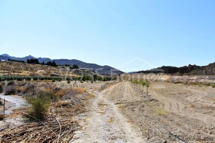 A quite and peaceful country house with 300m2 warehouse.. - 4