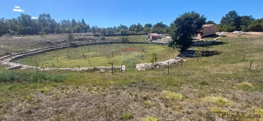 Istra, okolica Svetvinčenta, veliko zemljište, građevinsko i