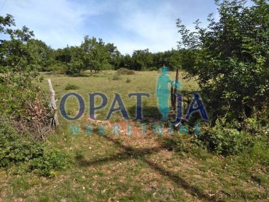Nedaleko Poreča prodaje se uredno poljoprivredno zemljište 1.. - 4