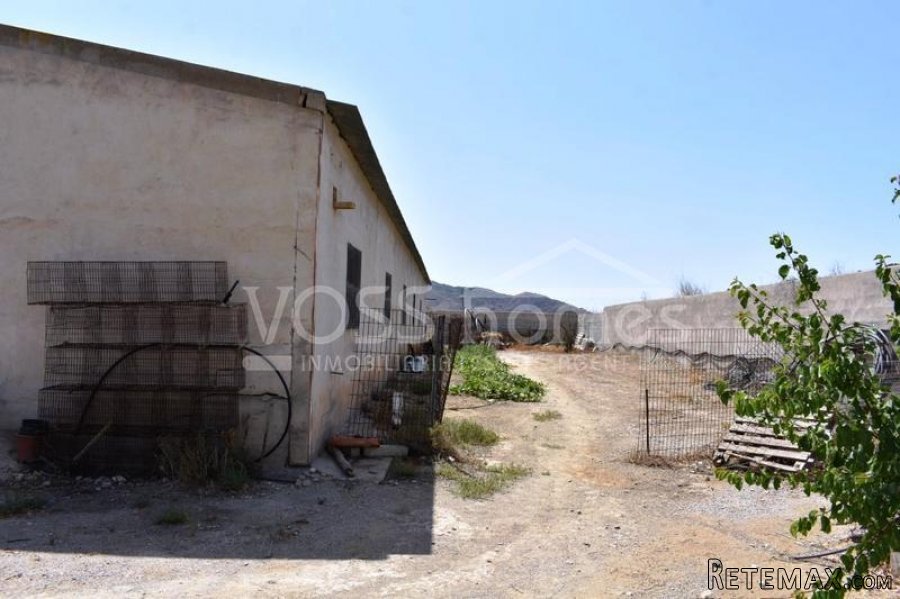 A quite and peaceful country house with 300m2 warehouse.. - 7