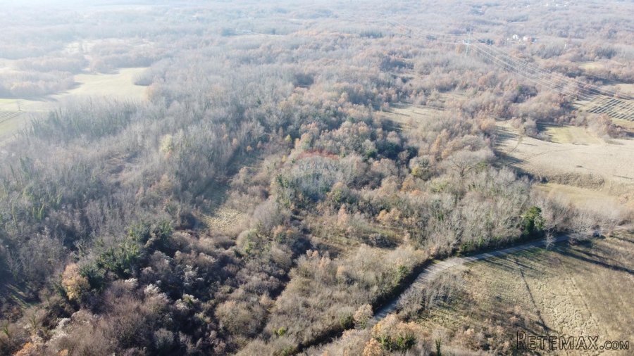 ISTRA, NEDEŠĆINA - Poljoprivredno zemljište 16959 m2 - 2