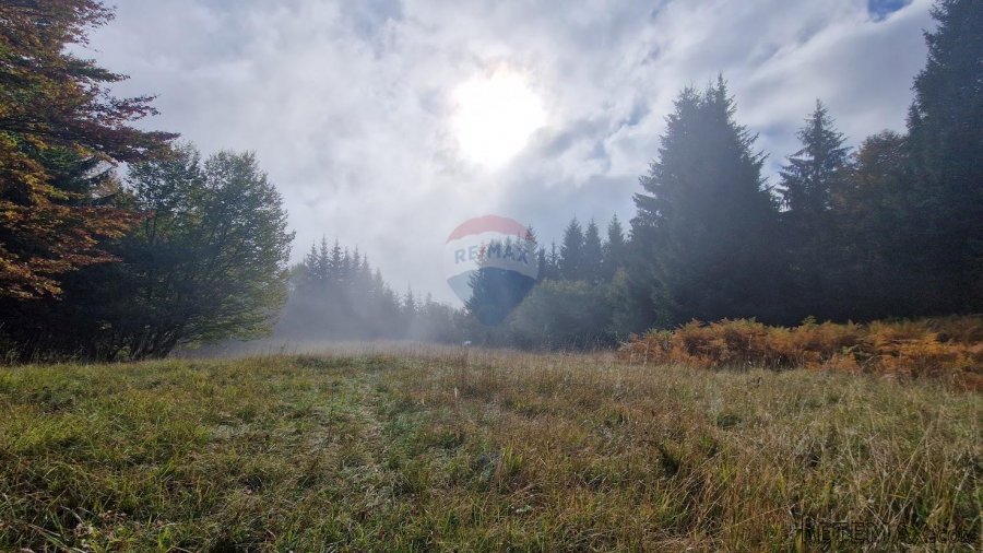 Gorski Kotar, Delnice - poljoprivredno zemljište 5100 m2