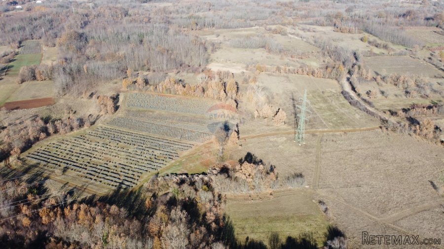 ISTRA, NEDEŠĆINA - Poljoprivredno zemljište 9824 m2 - 3