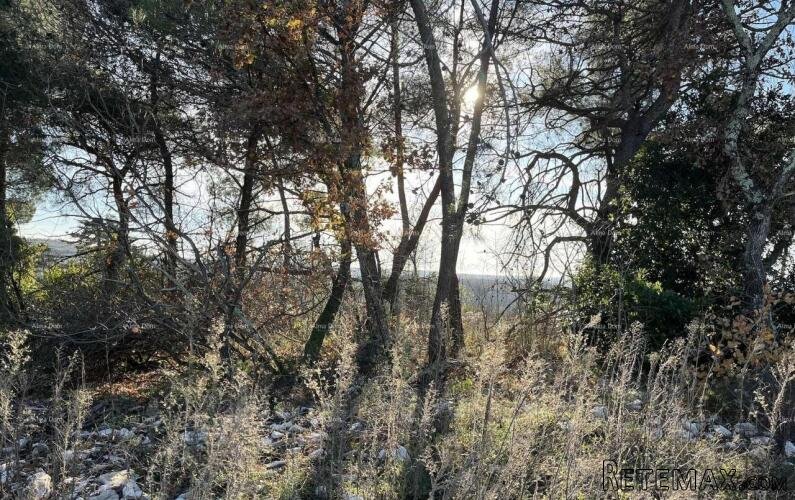 Jurcanija, Buje. Građevinsko zemljište s panoramskim p.. - 3