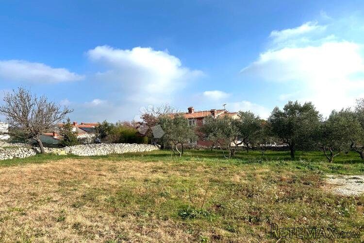 VODNJAN – prekrasna ravna parcela s manjim maslinikom - 3