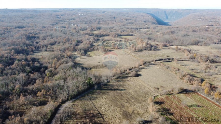 ISTRA, NEDEŠĆINA - Poljoprivredno zemljište 9824 m2 - 4