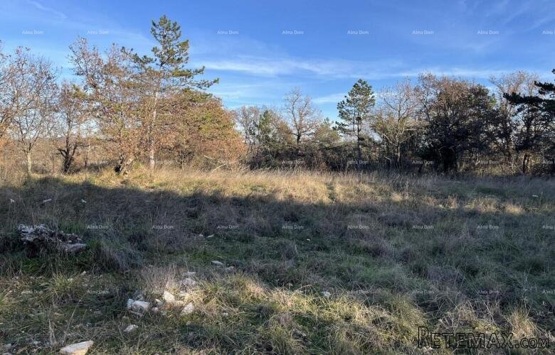 Jurcanija, Buje. Građevinsko zemljište s panoramskim p.. - 4