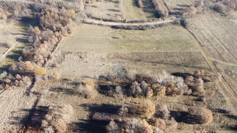 ISTRA, NEDEŠĆINA - Poljoprivredno zemljište 9824 m2 - 5