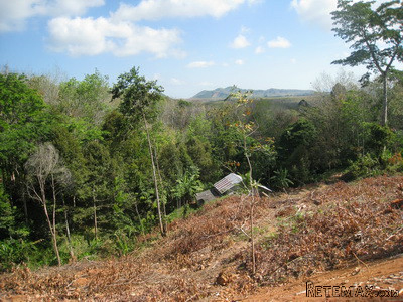 Sea View Land close to Bang Pae.. - 2