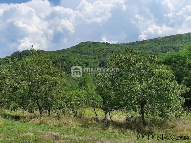 Istra, Sovinjak, 1373 m2 građevinskog zemljišta - 2