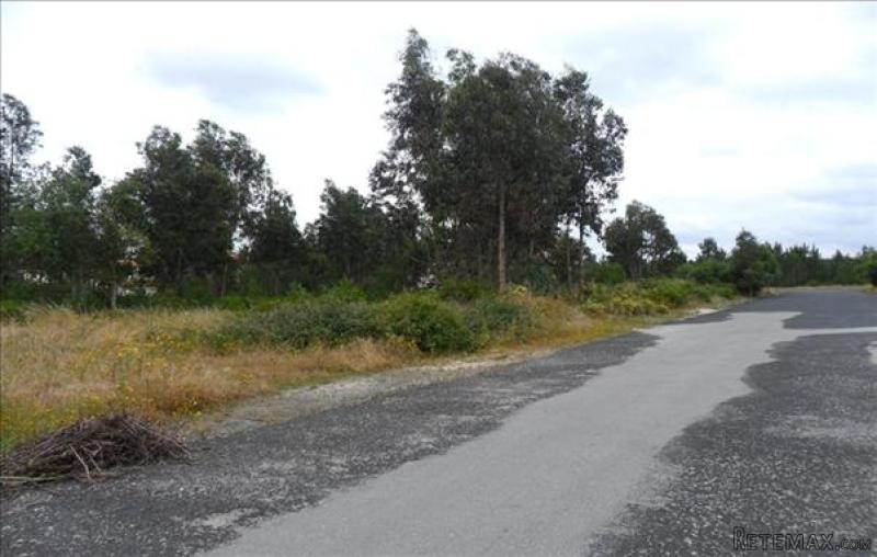 Rustic Land near Marinha Grande - 2