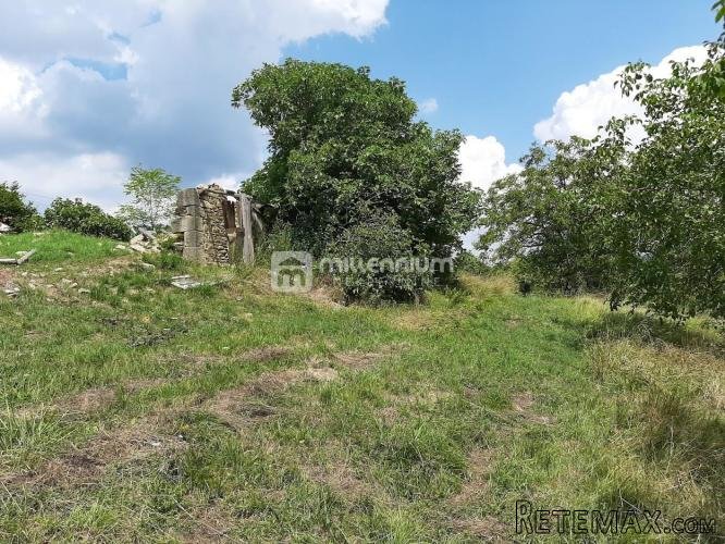 Istra, Sovinjak, 1373 m2 građevinskog zemljišta - 3