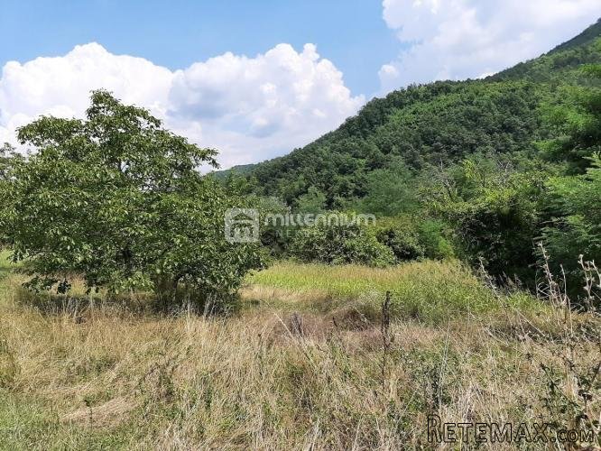 Istra, Sovinjak, 1373 m2 građevinskog zemljišta - 4