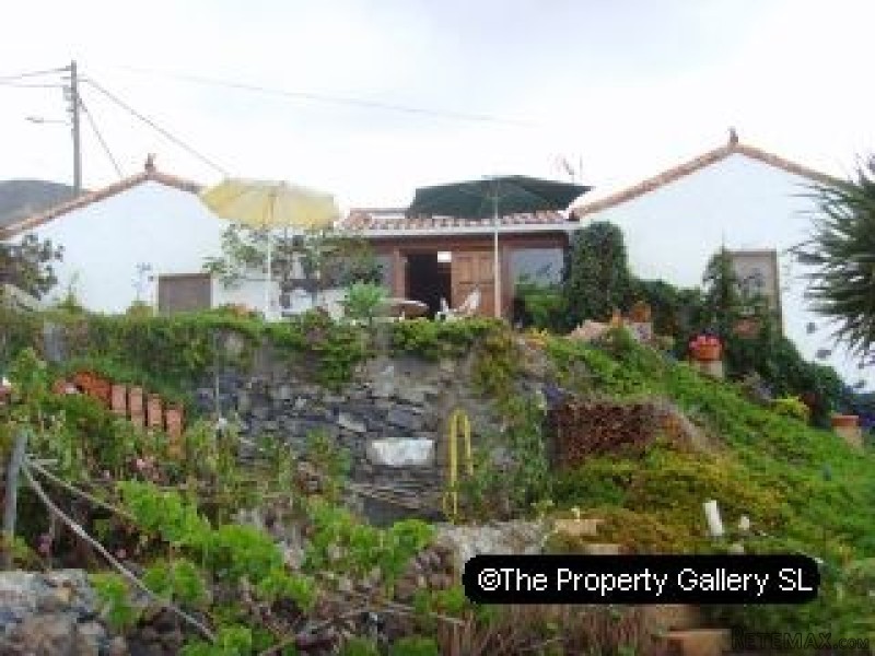 Farm For Sale in Acojeja, Tenerife