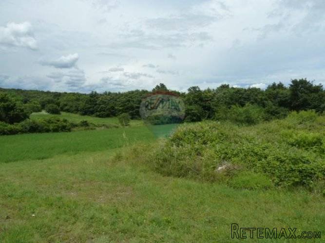 IMANJE, KUĆA S 28000 m2 u KRNICI - 3