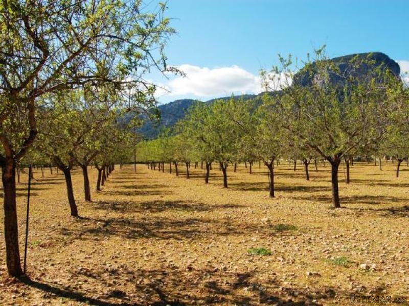 *reservado* Building Plot In Fabulous.. - 2