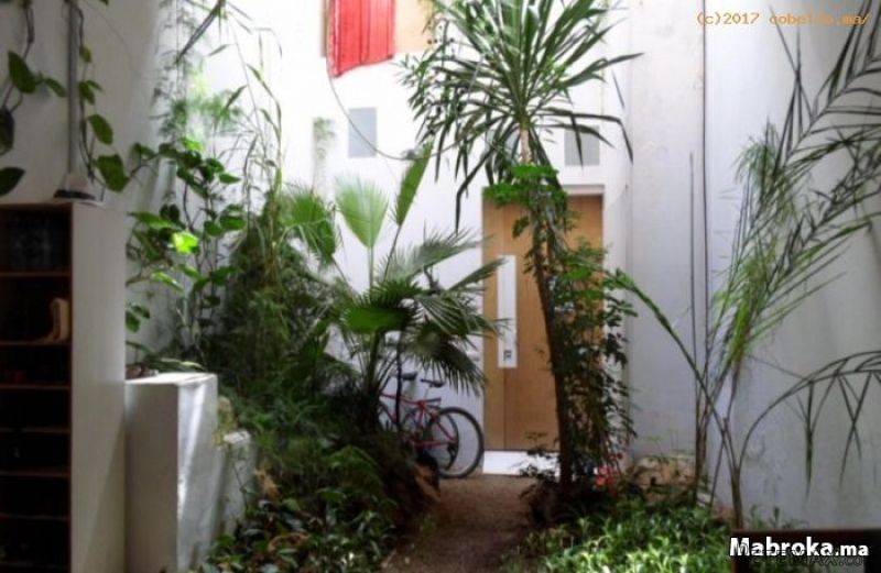 Riad en location situe a Rabat la Medina