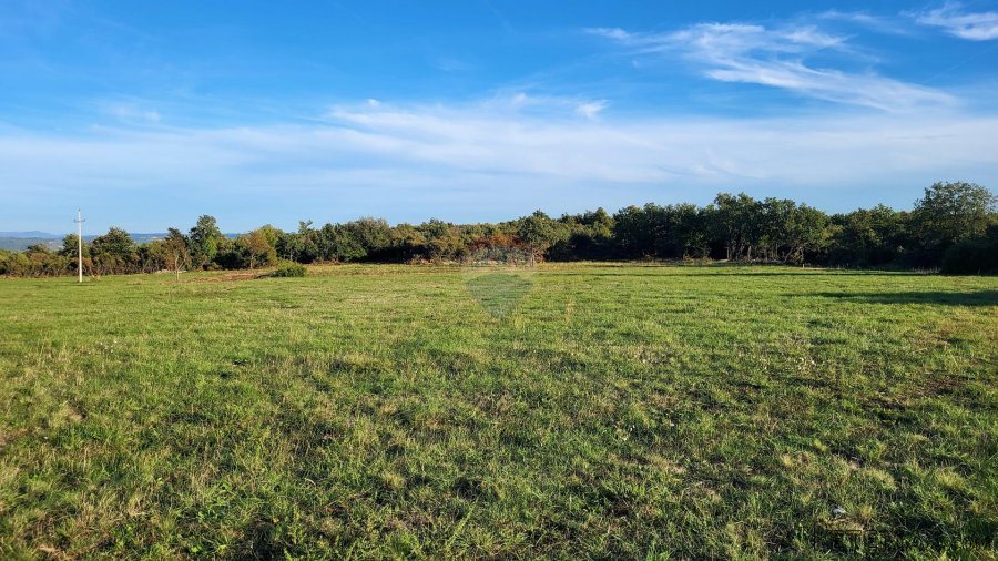Istra, Savudrija, negrađevinsko zemljište s pogledom na more - 2