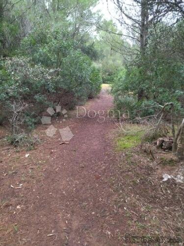 Poljoprivredno zemljište, Sumartin, Brač, povoljno - 2
