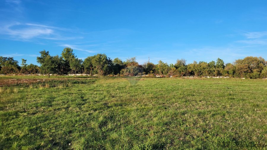 Istra, Savudrija, negrađevinsko zemljište s pogledom na more - 5