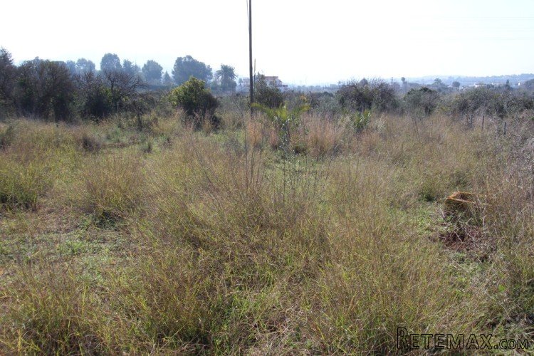 Traditional finca style property that needs total.. - 5