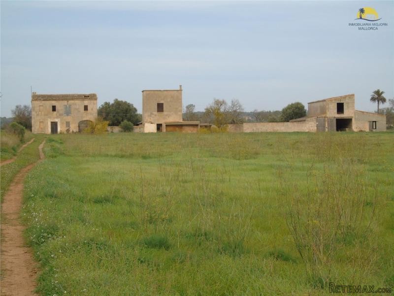 Country Houses For Sale In Campos - 2