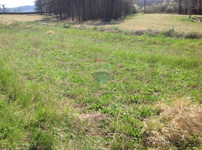 Buzet, zemljište pred urbanizacijom,2,5km do granice sa... - 3