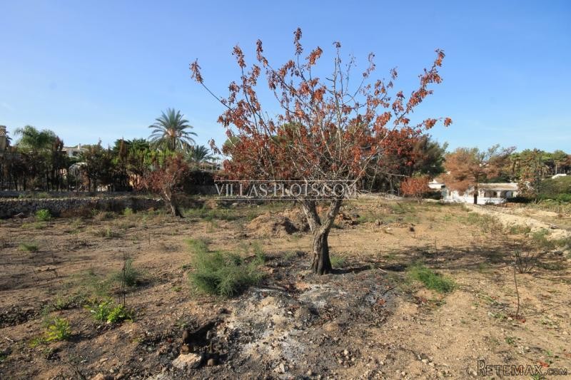 Plot In Javea - 2