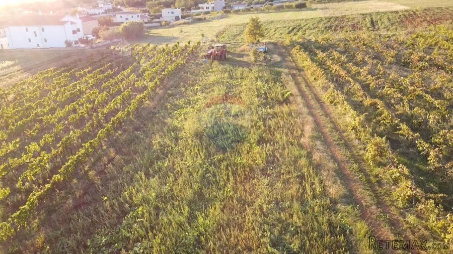 Istra, Kaštelir- Građevinsko zemljište sa pogledom na more