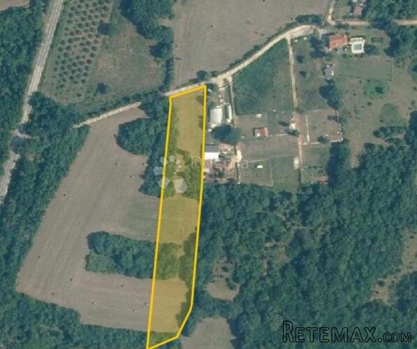 Loborika – 7.948 m² poljoprivredne elegancije s dugoročnom v - 2