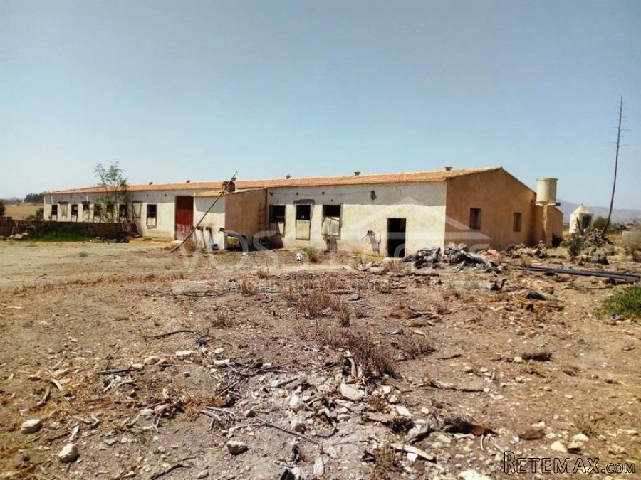 Huge country house with garage of approx 250m2 and.. - 5