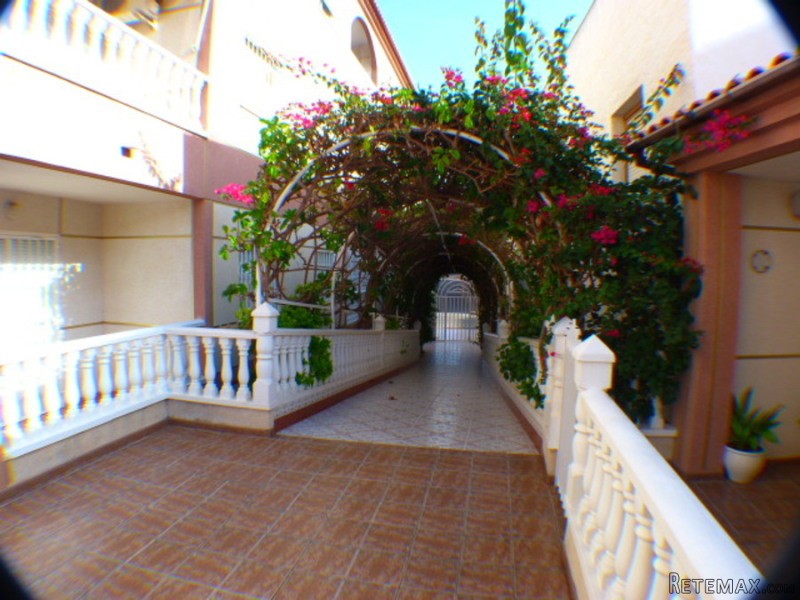 3 Bedrooms - Apartment - Alicante - For.. - 2