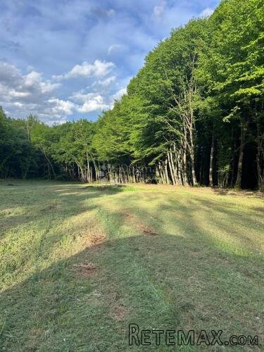 T2 TURISTIČKA NAMJENA 15000M2 UZ RIJEKU - 2