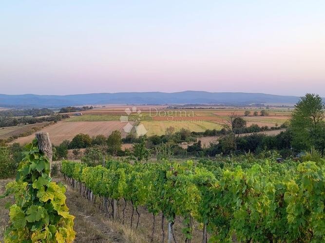 KUTJEVO - BAJKOVITO IMANJE VELIKOG POTENCIJALA