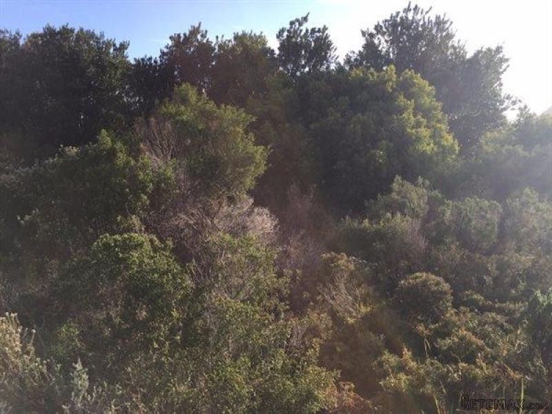 Bettys Bay Vacant Land, Bettys Bay - 2