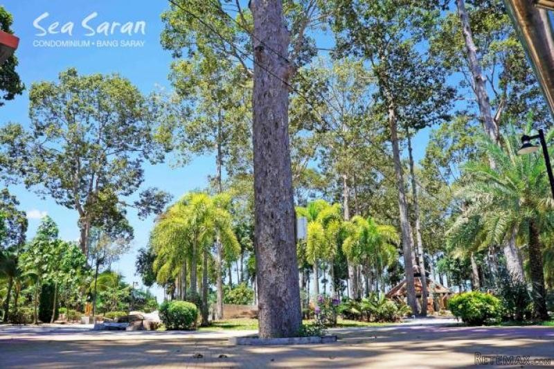 2 bed apartment for sale