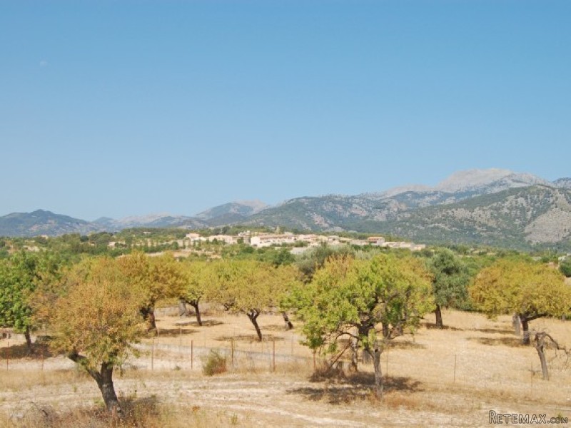 Fantastic Plot With Basic Structure In..