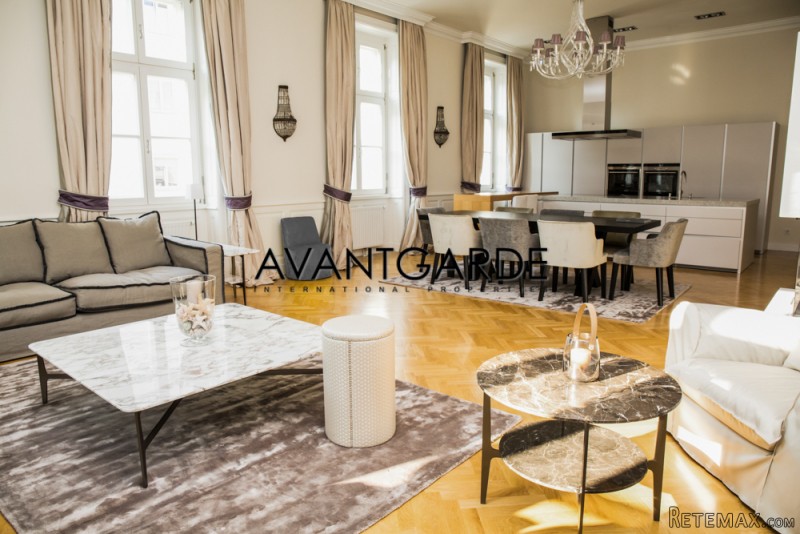 Classic Viennese Apartment - 2