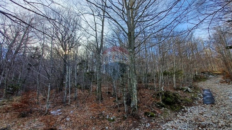 Bribir, Veli Laz - građevinski teren 2930 m2 - 2