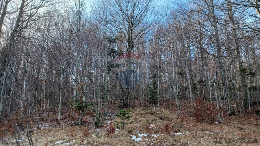 Bribir, Veli Laz - građevinski teren 2930 m2 - 3