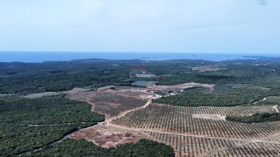 Istra - Bale - zemljište sa ucrtanom kućom