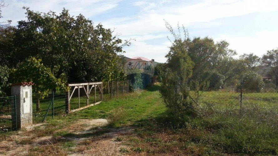 Valbandon okolica - poljoprivredno zemljište 695m2