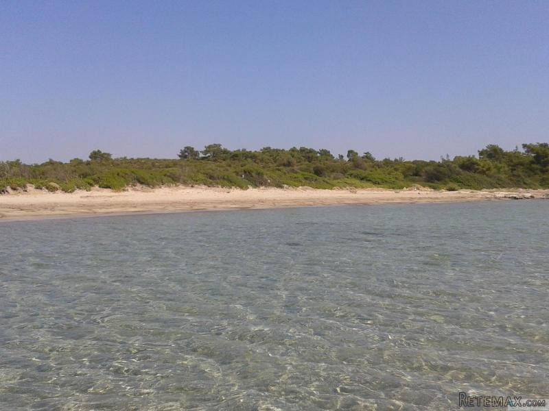 B496-FOR SALE LAND OF 21