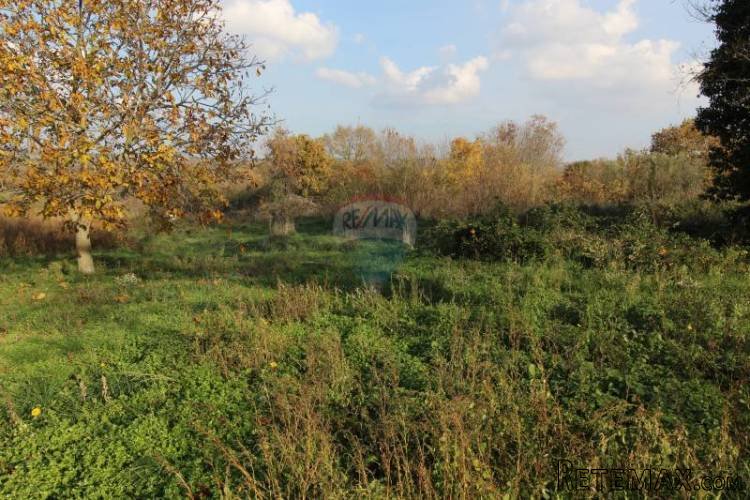Građevinsko zemljište u centru Tara