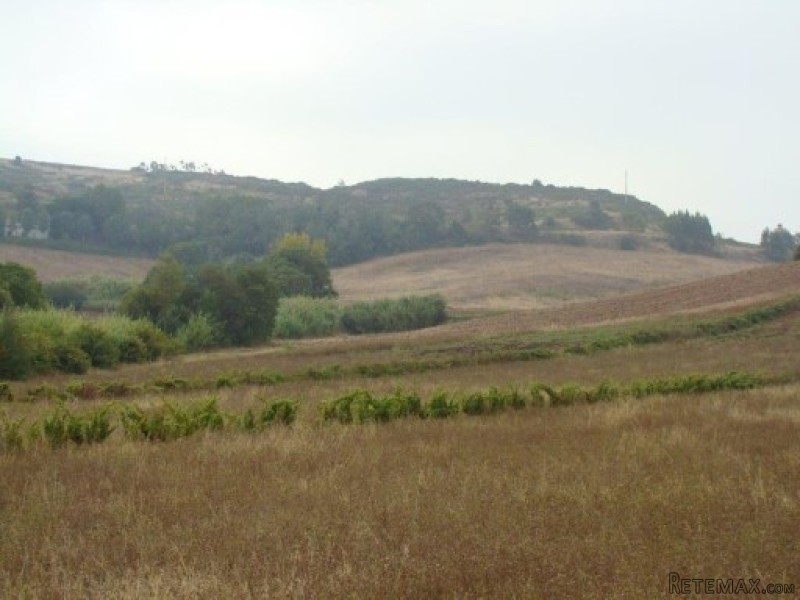Farm , Torres Vedras | Ref:.. - 2