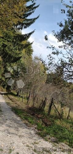 40km od Zagreba, rodna zemlja - 2