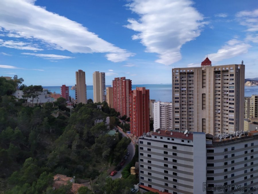 Apartamento de 2 dormitorios dobles, 2 baños, terraza.. - 2