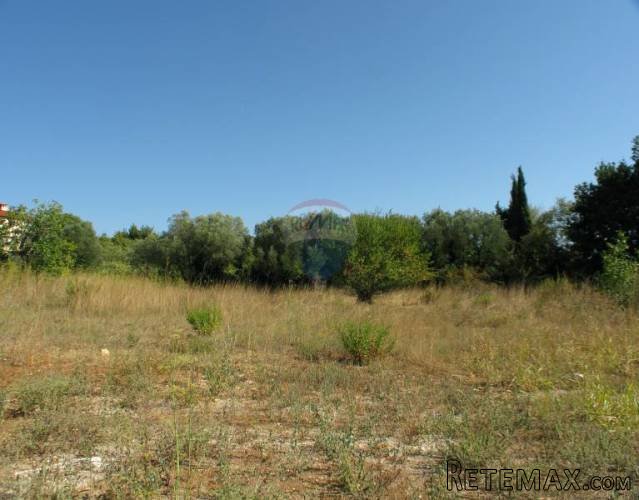 ISTRA, PREMANTURA GRAĐEVINSKO ZEMLJIŠTE 2248 M2 - 3